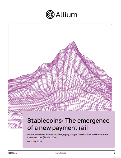 Stablecoins: The emergence of a new payment rail