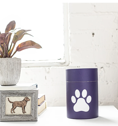 Unforgettable Pet Urns