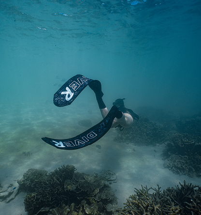 Online Dive Gear