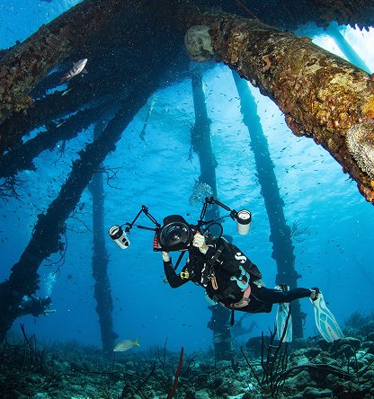 Digital Diver