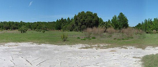 View of Sugarmill Woods, FL