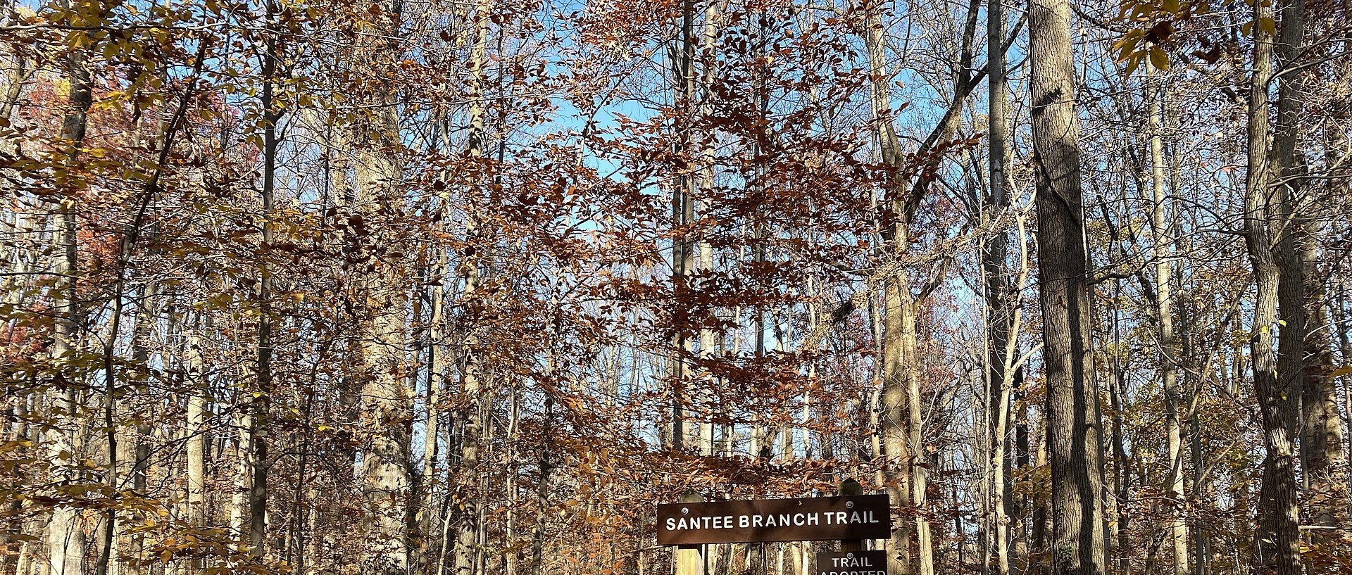 Park in Catonsville, MD