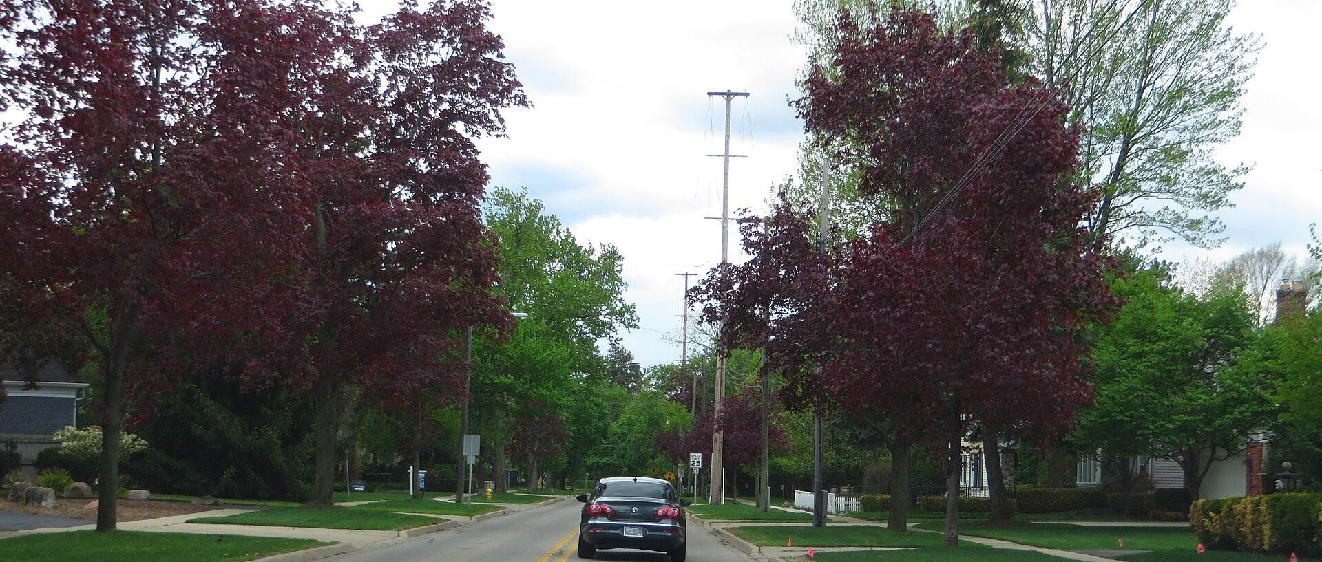 Downtown Beverly Hills, MI