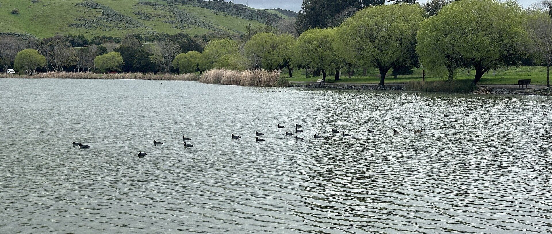 Park in San Jose, CA