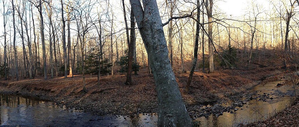Park in Montclair, VA