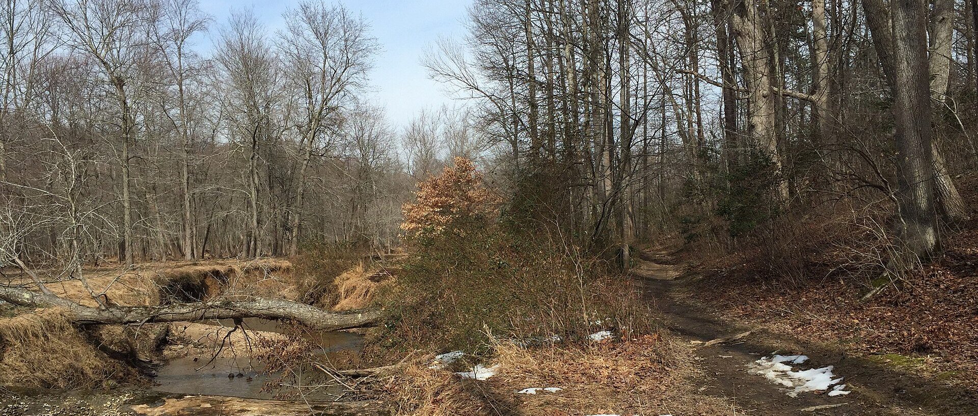 Park in Oakton, VA