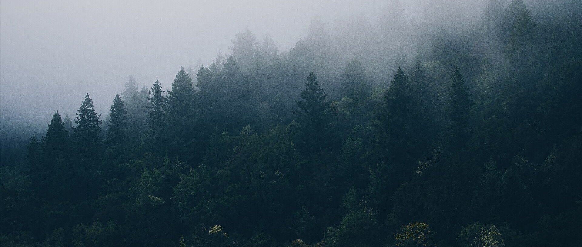Skyline of Los Gatos, CA