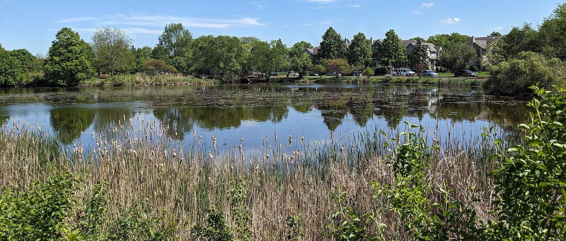 View of Palos Heights, IL