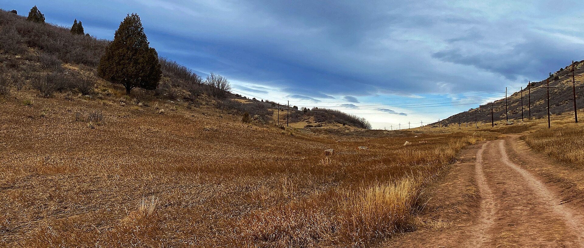 Park in Columbine, CO