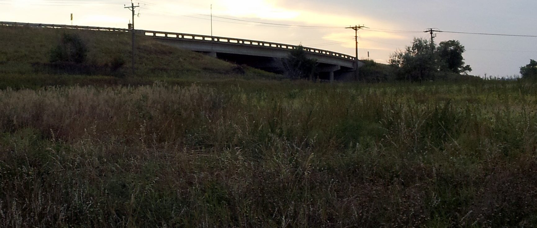 Bridge in Shoreview, MN