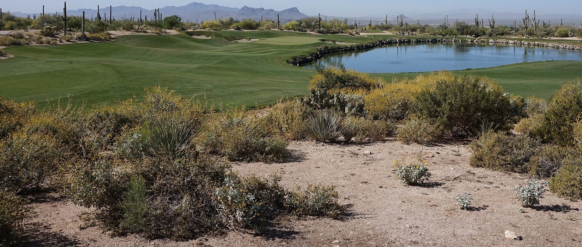 View of Marana, AZ