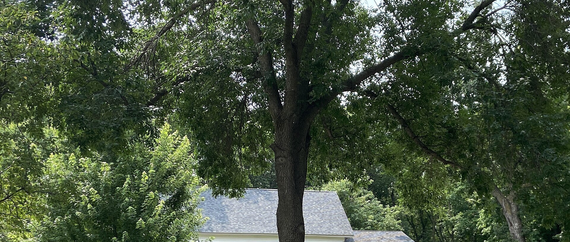 Park in Plymouth, MN