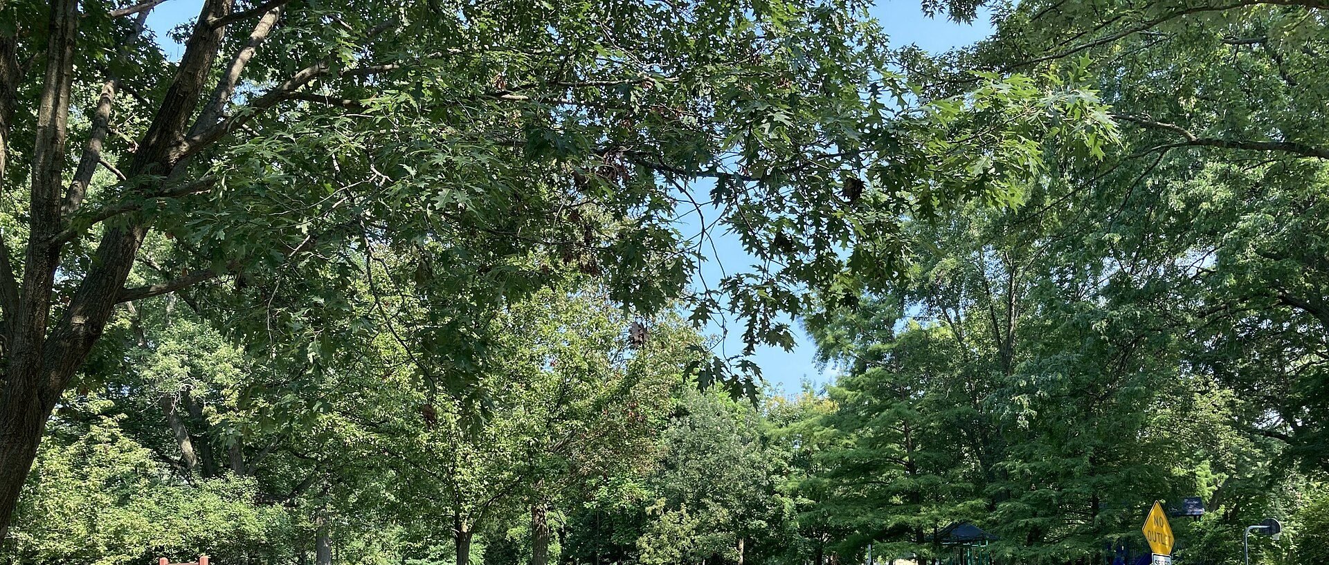 Park in Glenview, IL
