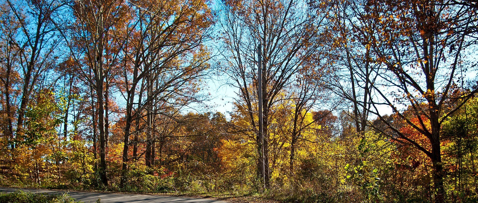 View of Bella Vista, AR