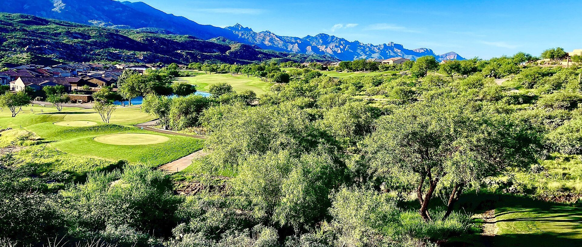 View of Saddlebrooke, AZ