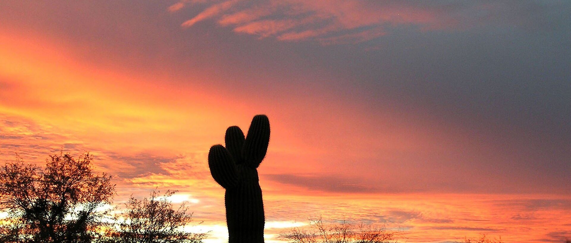 View of Tanque Verde, AZ