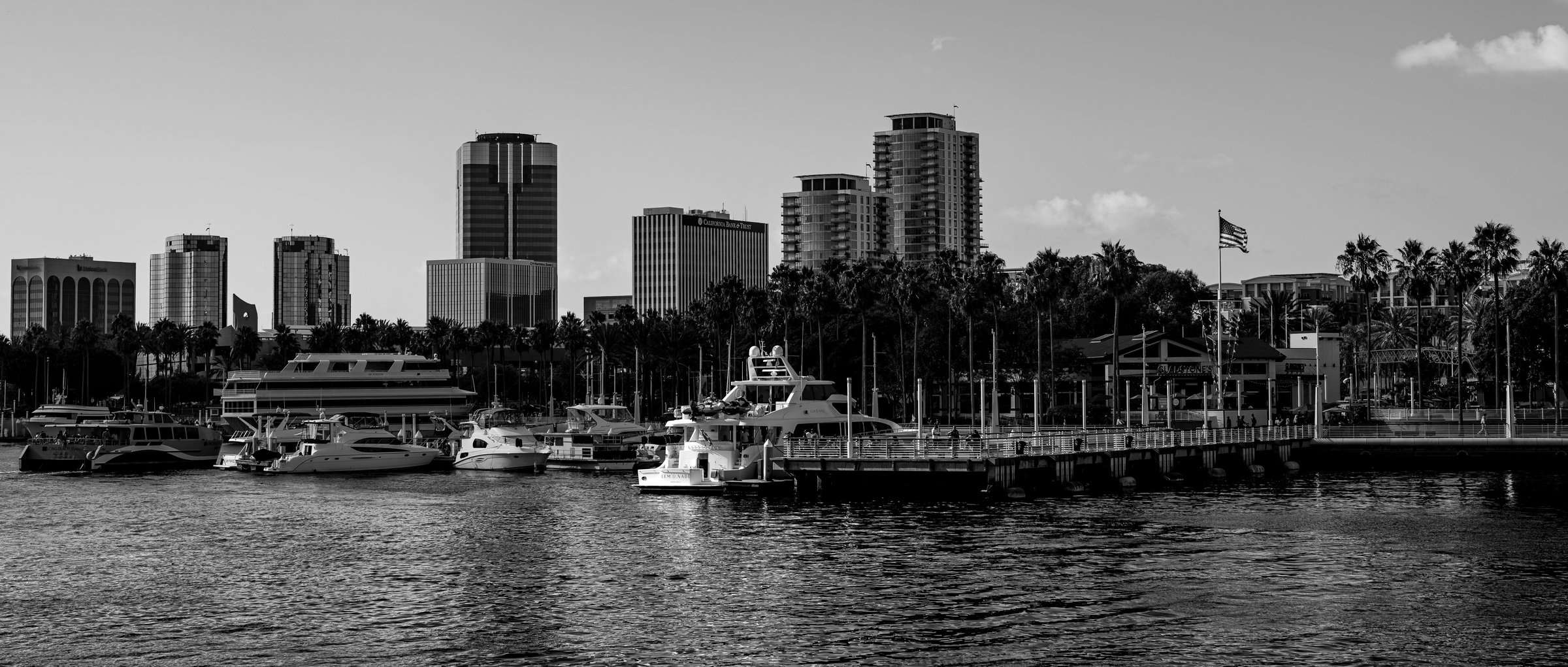 View representing Safety Harbor, FL