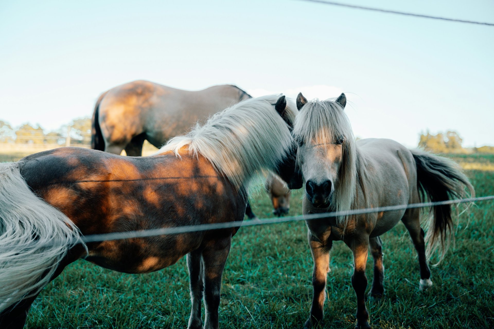 Retirement in Kentucky