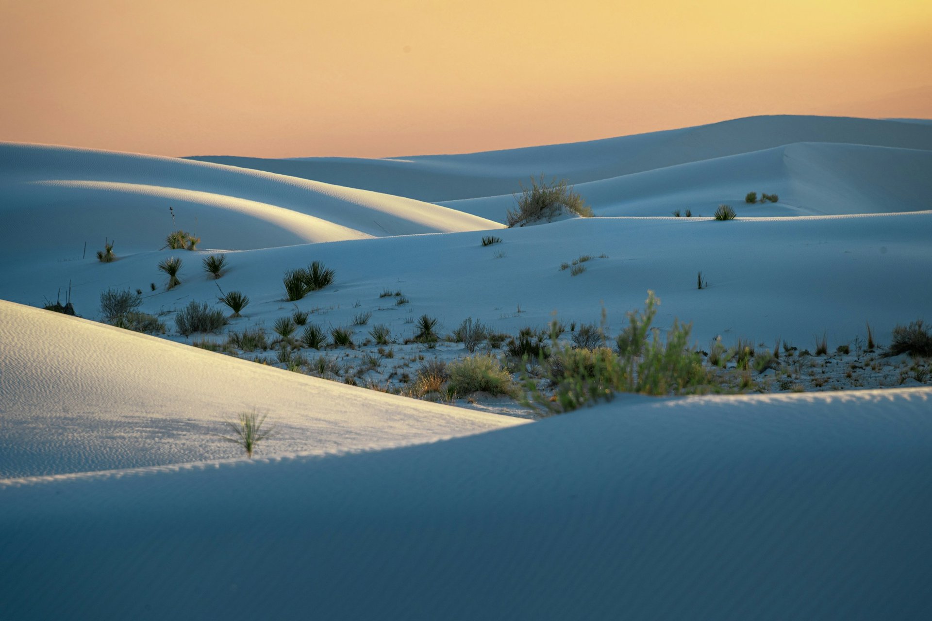 Retirement in New Mexico