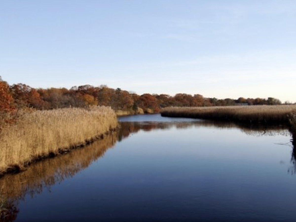 Retirement in Bayport, NY