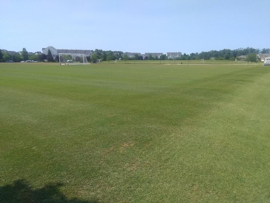 Park in Ashburn, VA