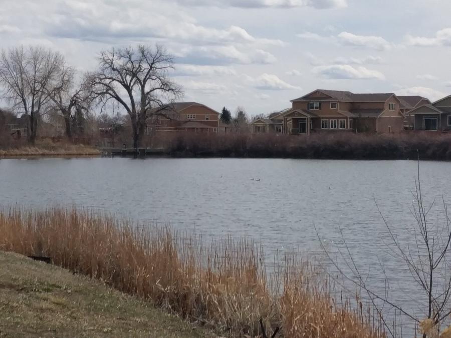 Park in Arvada, CO