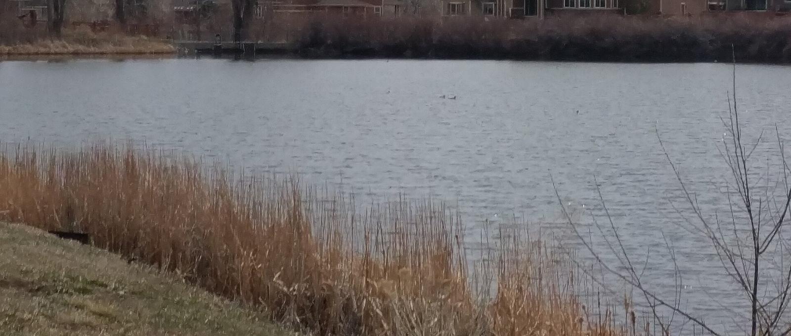 Park in Arvada, CO