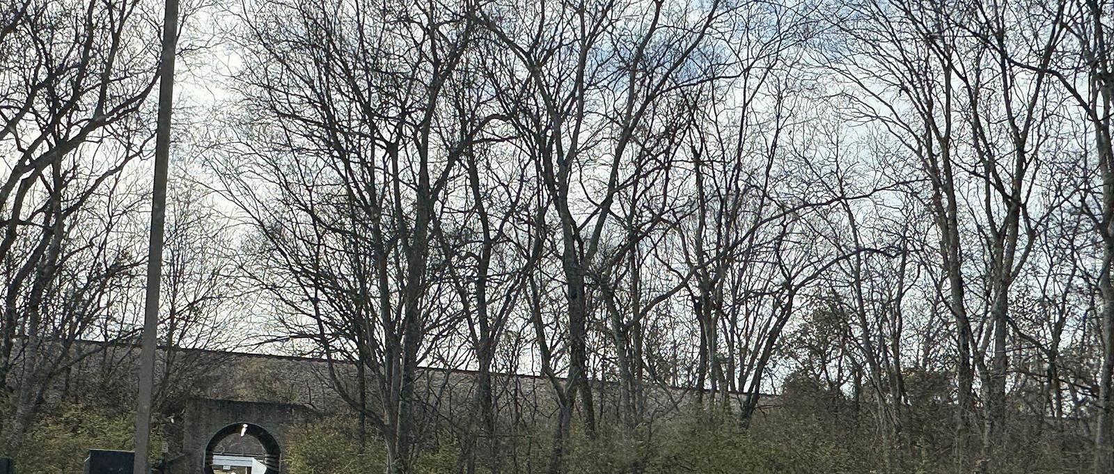 Park in Brentwood, TN