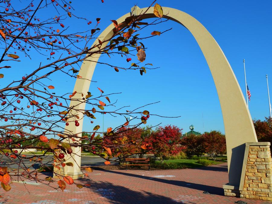 Carol Stream, IL, USA - panoramio