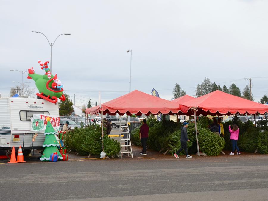 Aloha Mall Christmas tree lot