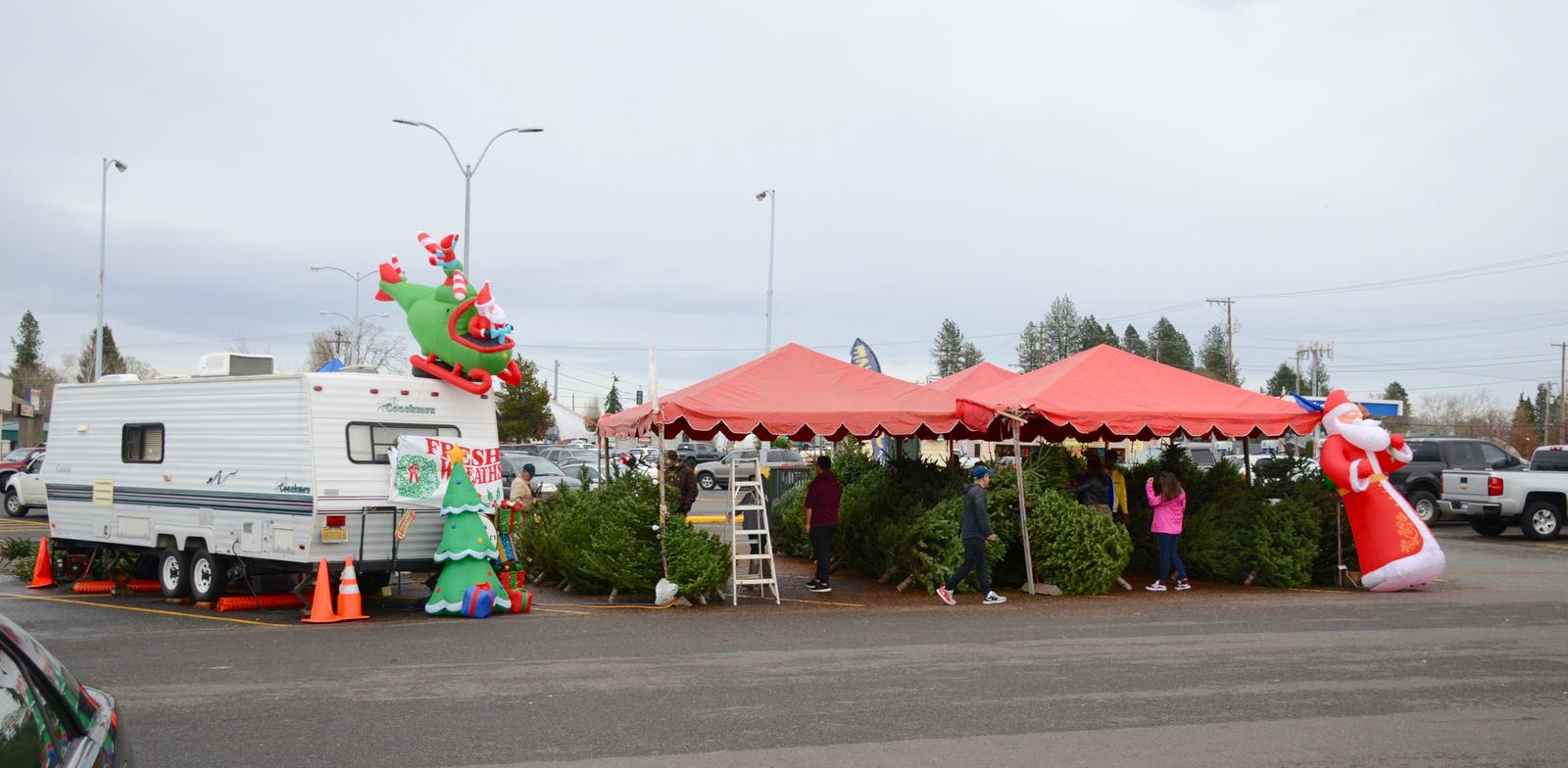 Aloha Mall Christmas tree lot
