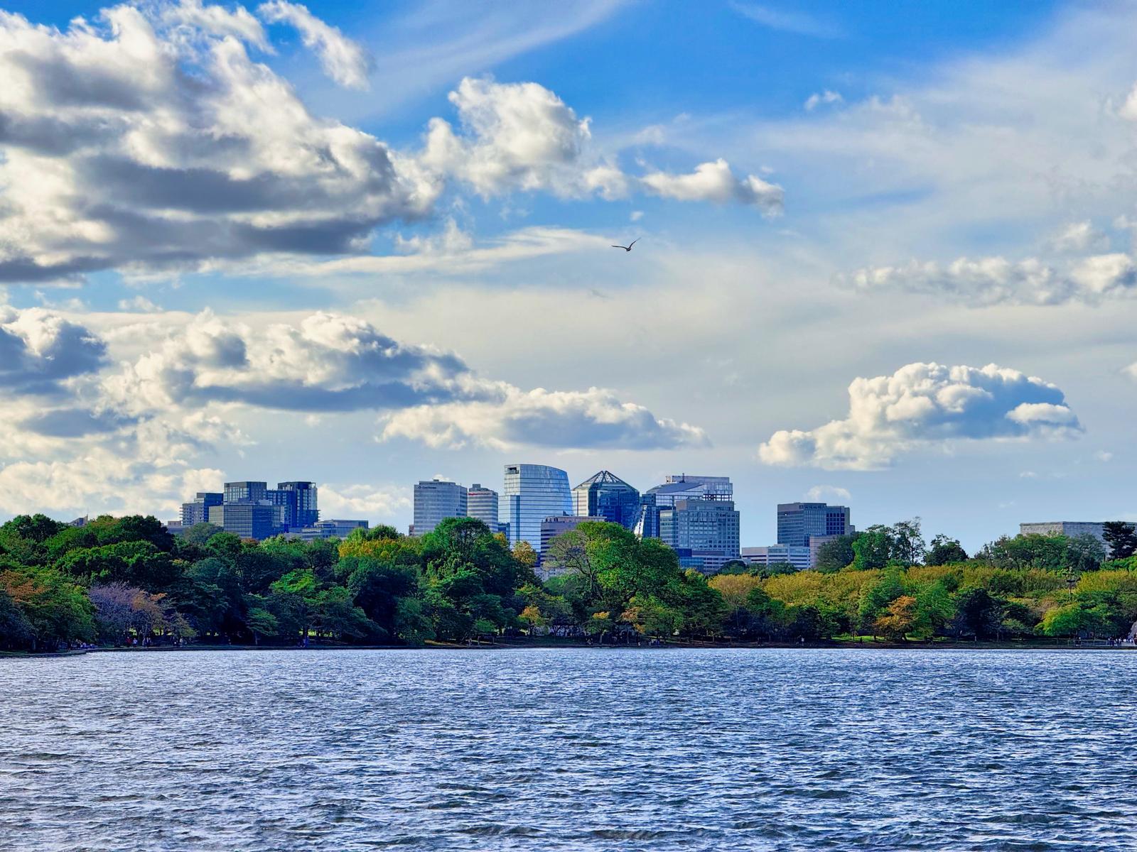 The Arlington, Virginia, city skyline