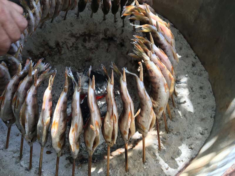 Trải nghiệm câu cá suối