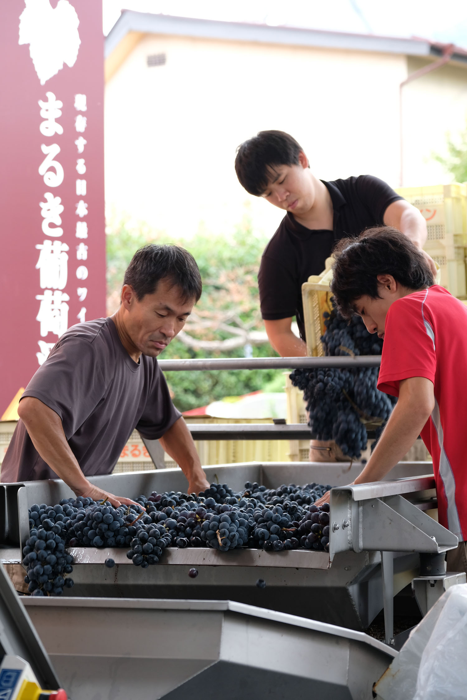 Nhà máy sản xuất rượu vang