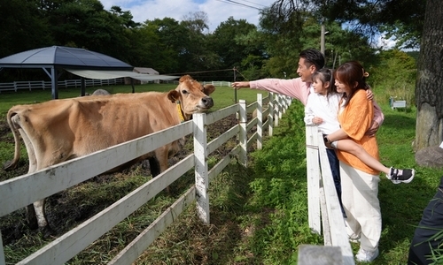 Hệ sinh thái nghỉ dưỡng cao nguyên