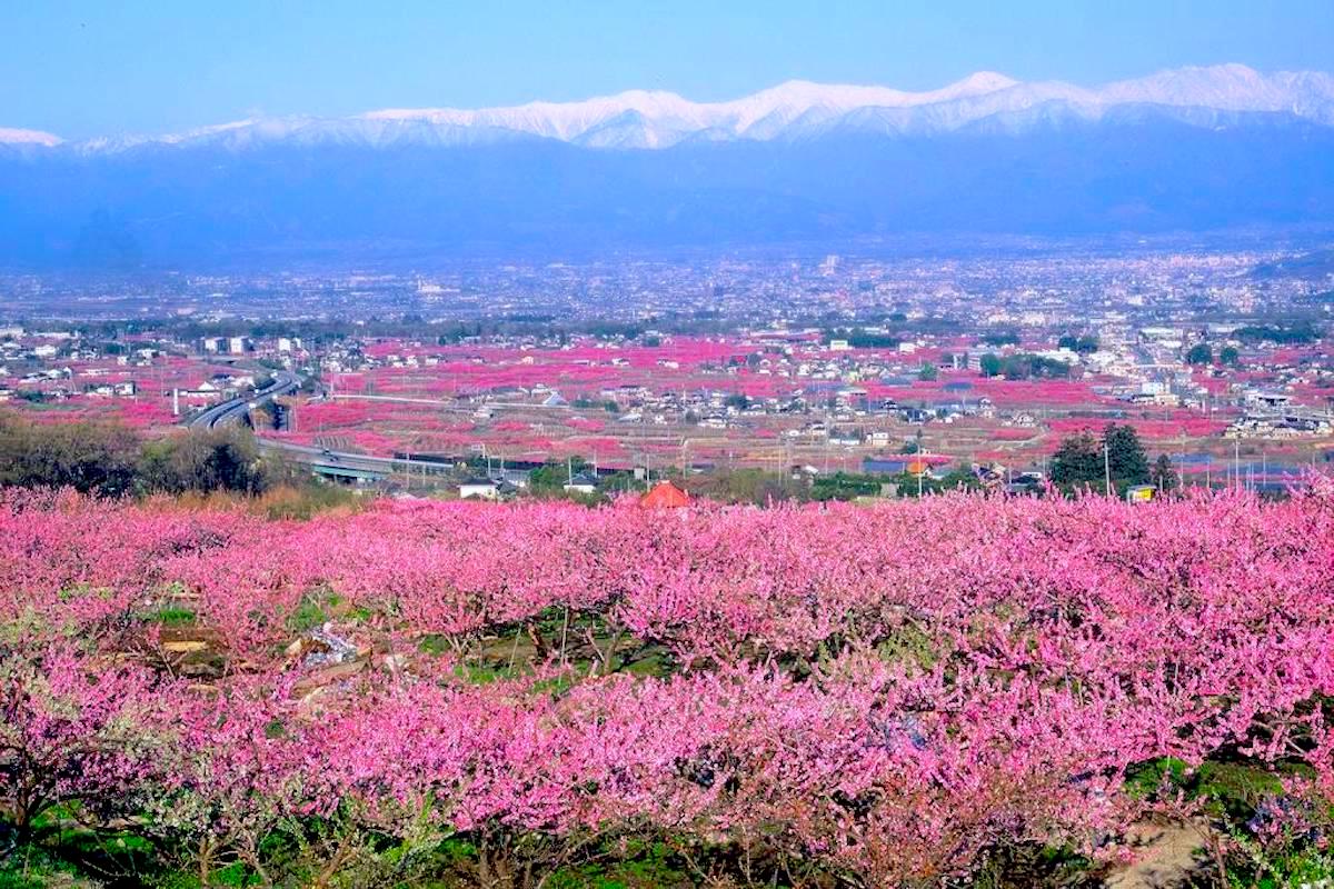 Thị trấn Fuefuki