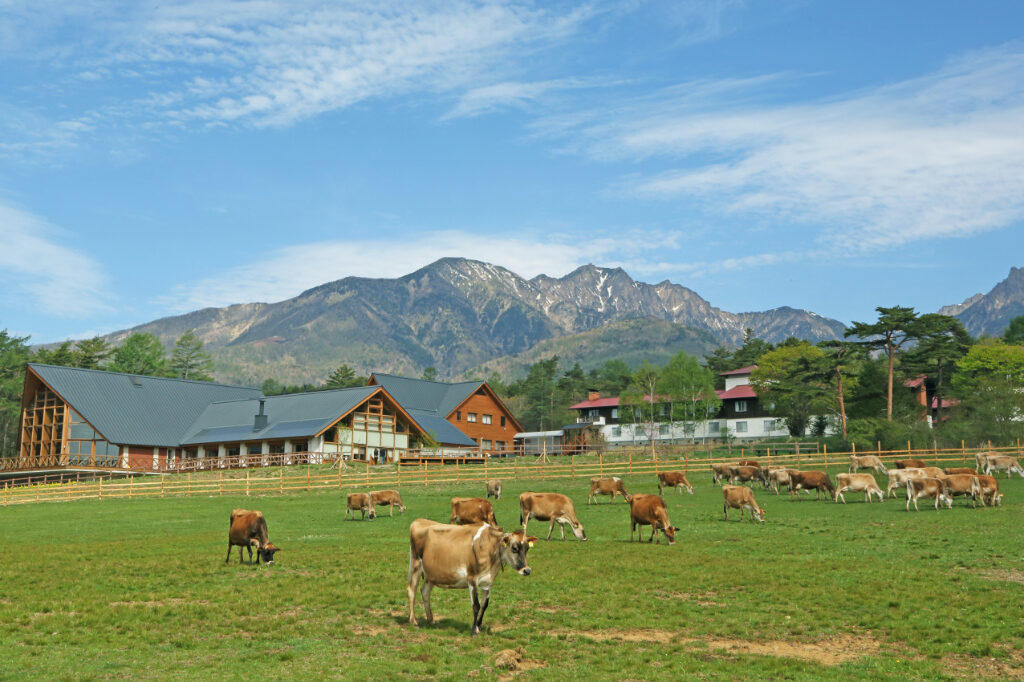 Khu nghỉ dưỡng Seisenryo