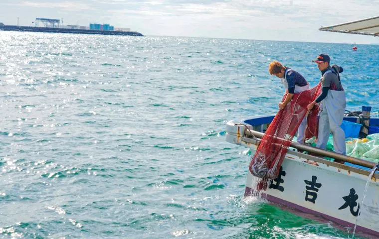 Vườn nho Katsunuma