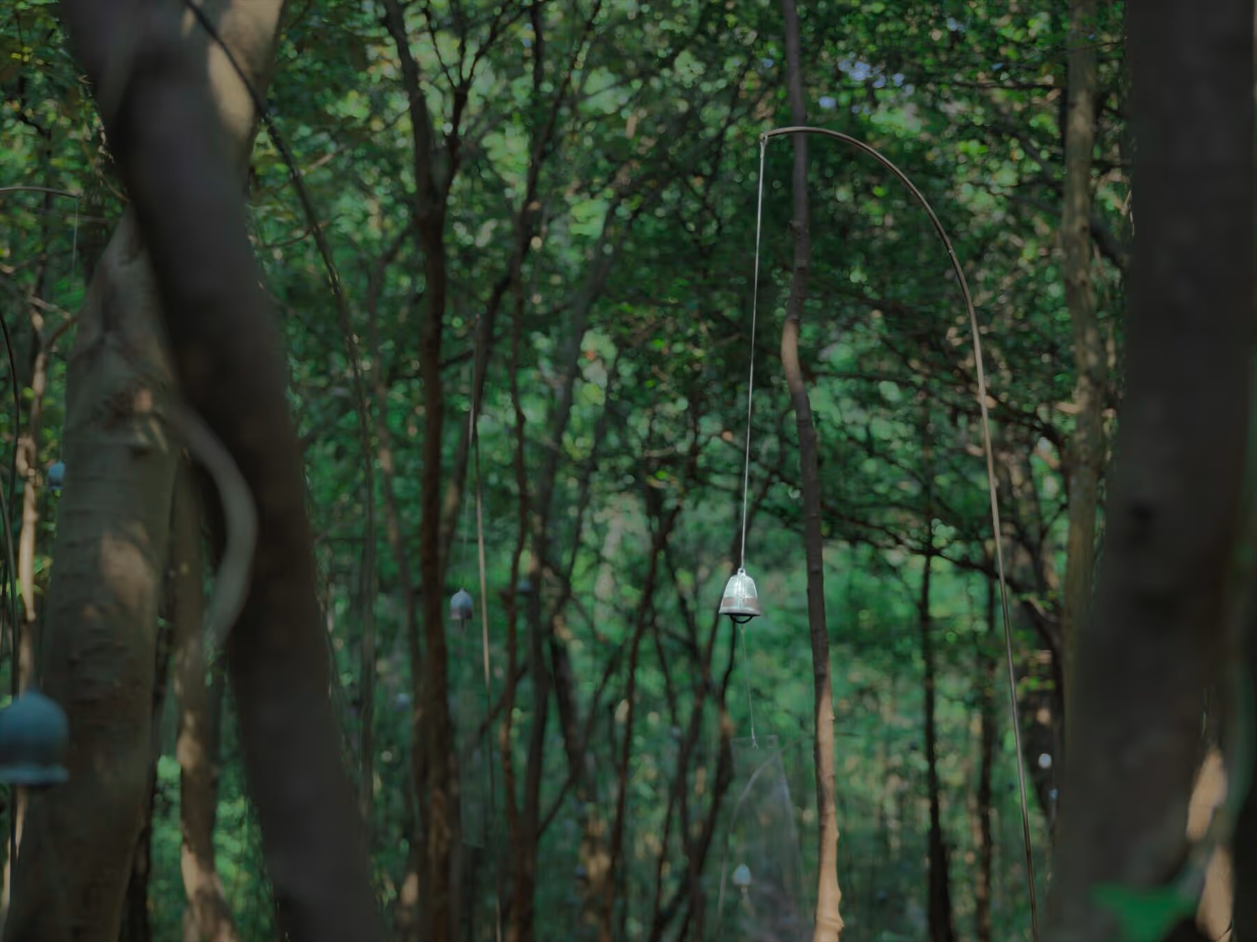 Retreat trong rừng cùng Ranger