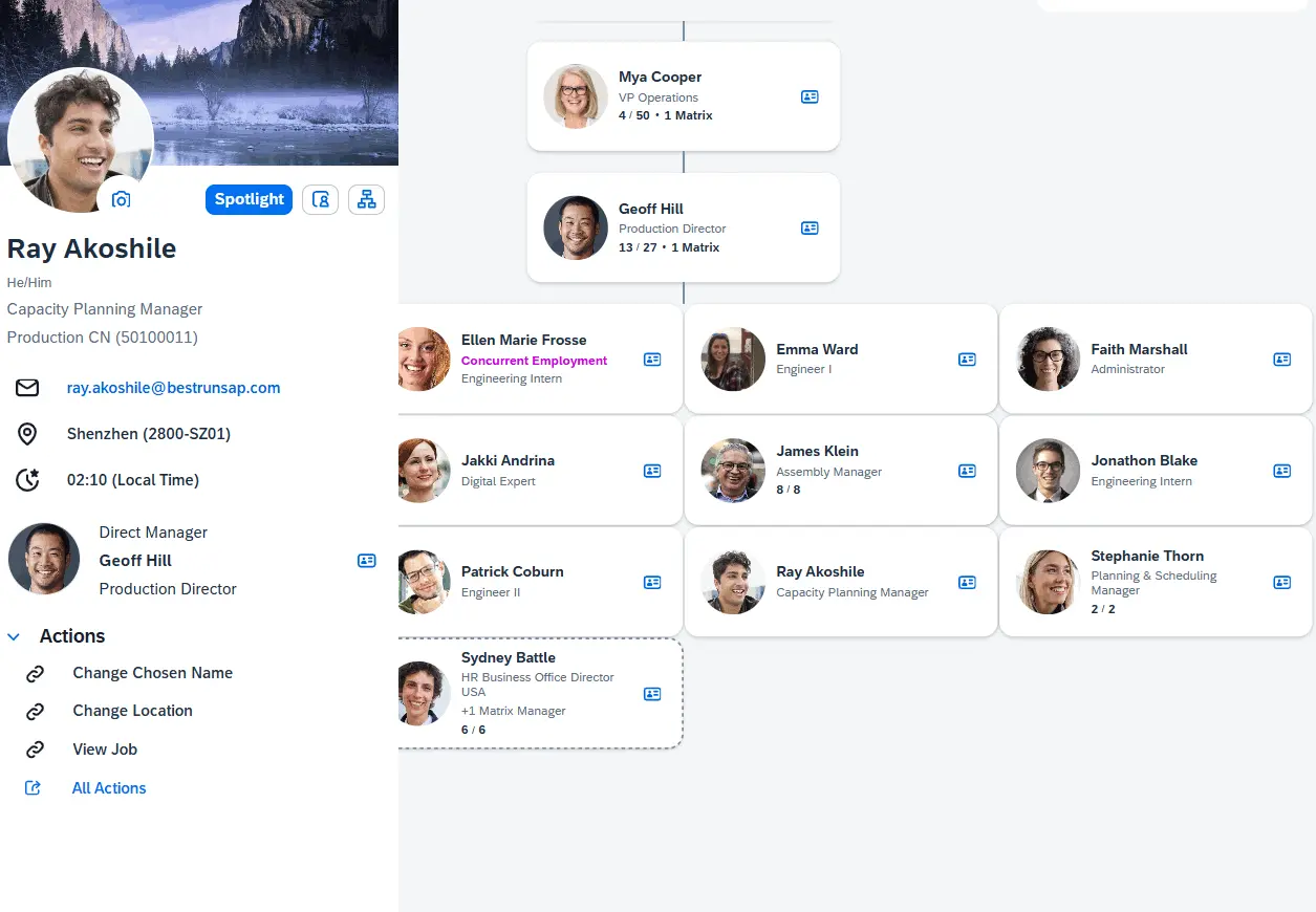 SuccessFactors Org Chart