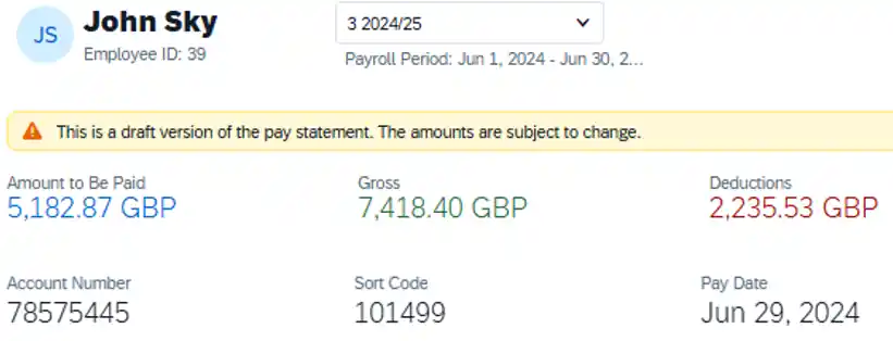 pay statement summary