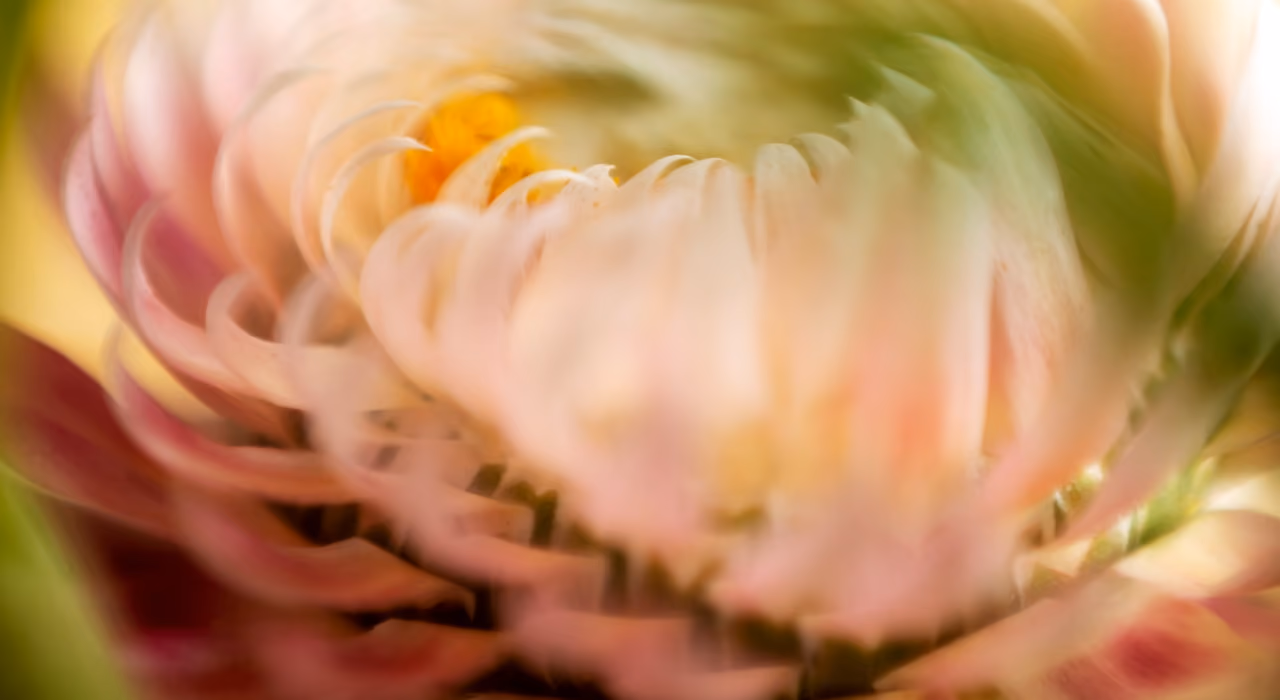 The risks of AI in HR (and how to actually mitigate them)