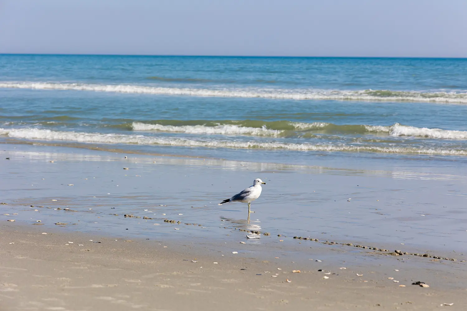 Pediatric Dentistry in North Myrtle Beach, SC - Beachside Smiles