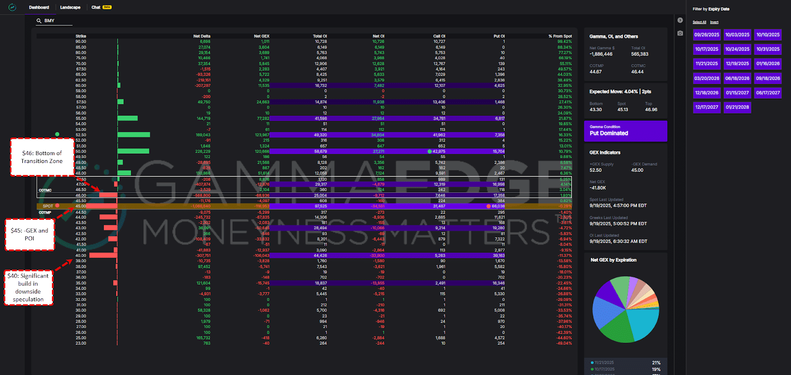 GammaEdge dashboard answering the question what are put options?