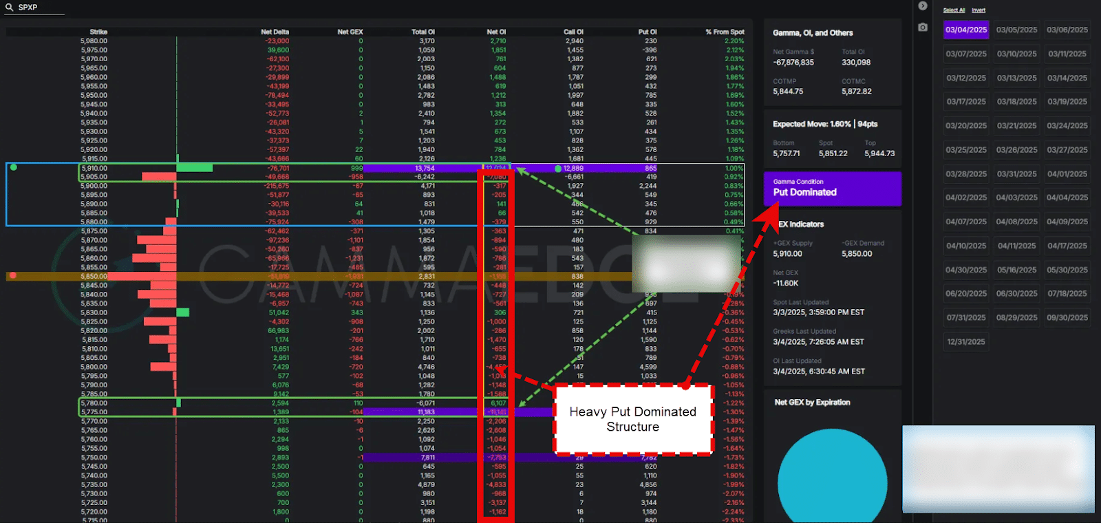 GammaEdge's web app showing a put dominated environment prior to a market reversal.