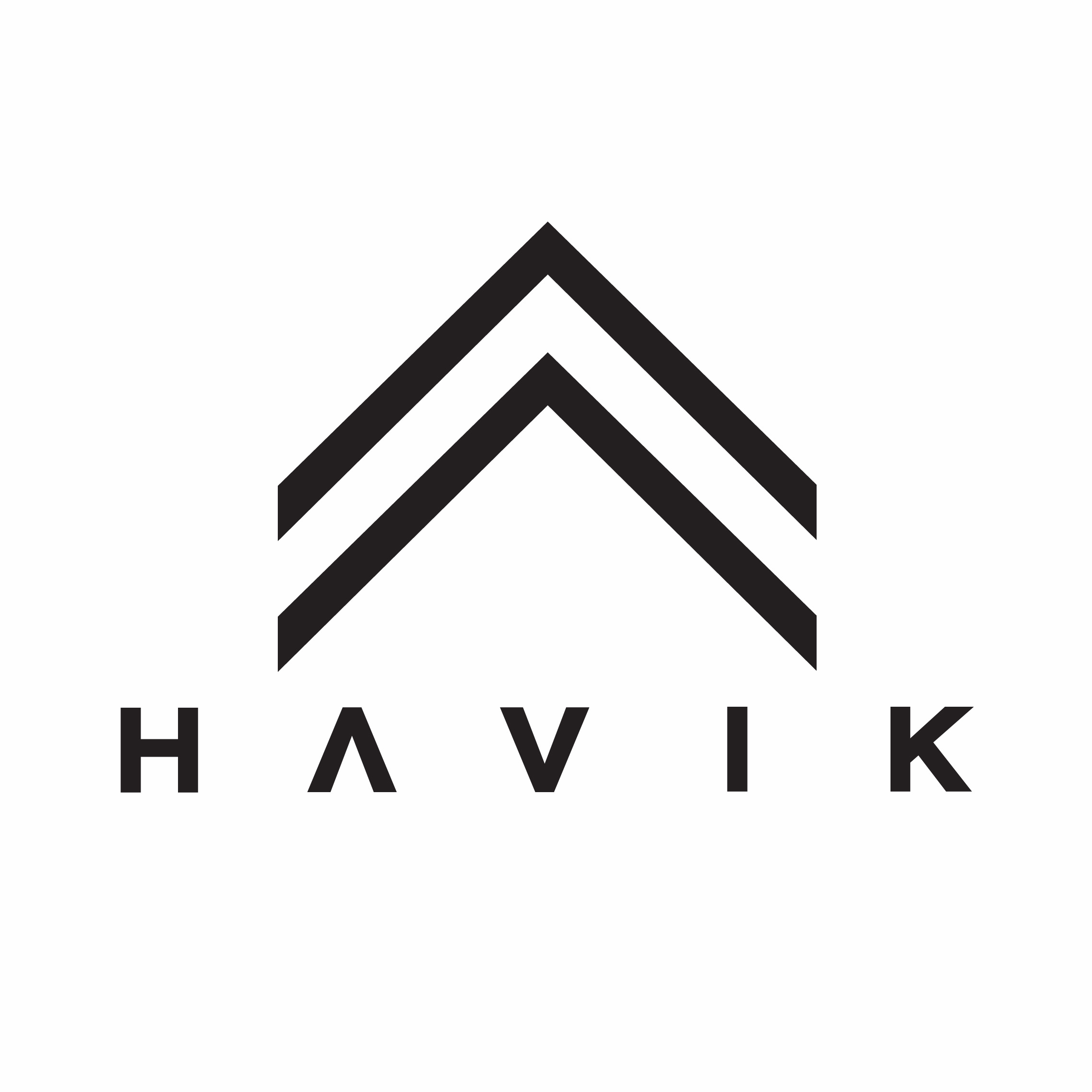 HAVIK logo