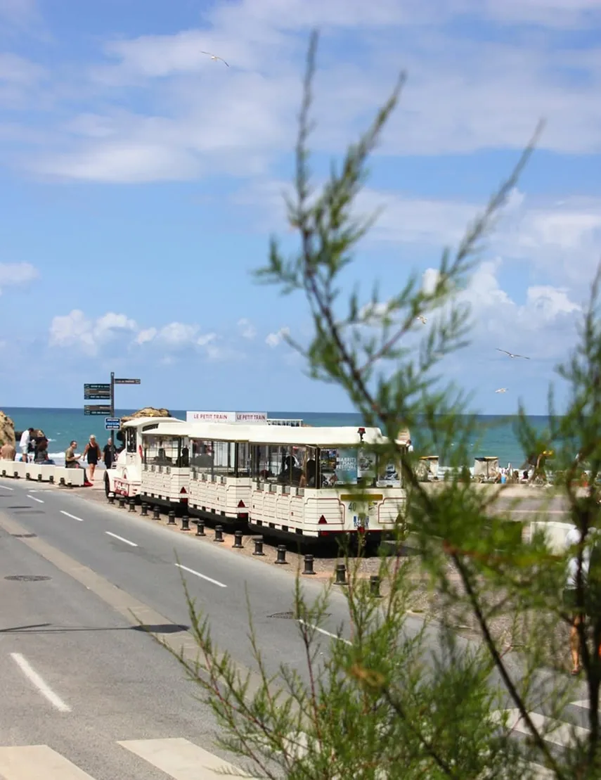 Tourist train named Le Petit Train on a coastal road with pedestrians and the ocean in the background under a blue sky.
