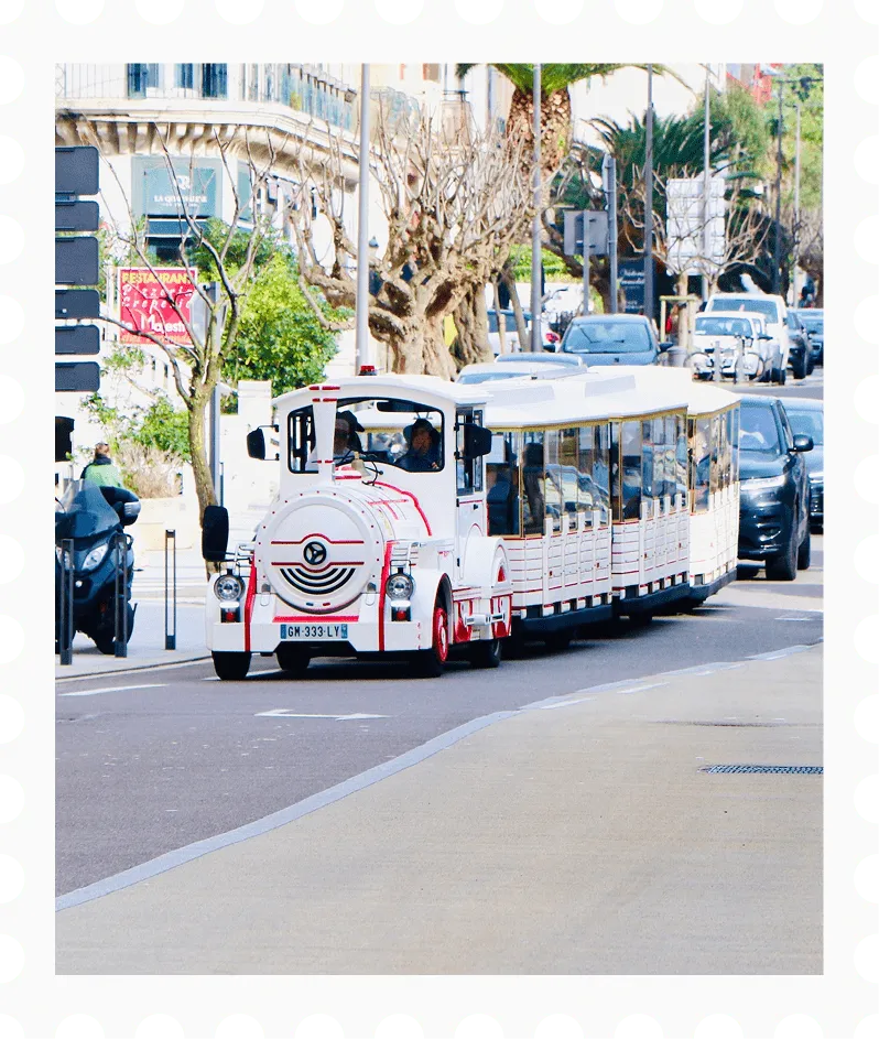 White tourist train with red accents driving on a city street with cars and sidewalks nearby.