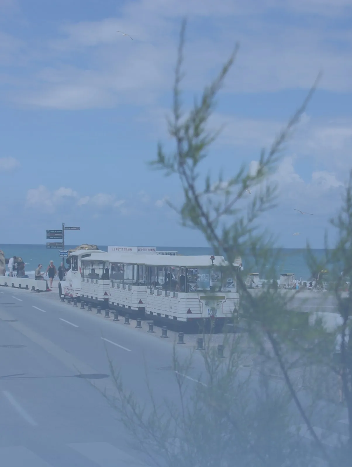 White tourist train labeled 'Le Petit Train' parked near a seaside promenade with people walking and the ocean in the background.