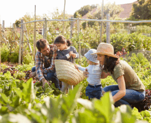 California Food Producers